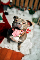 Miracle_2020Xmas_8096