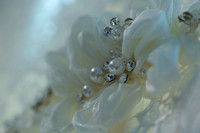 Molfetas_0009